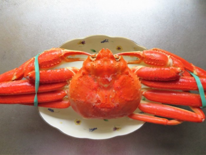 浜街道のカニ