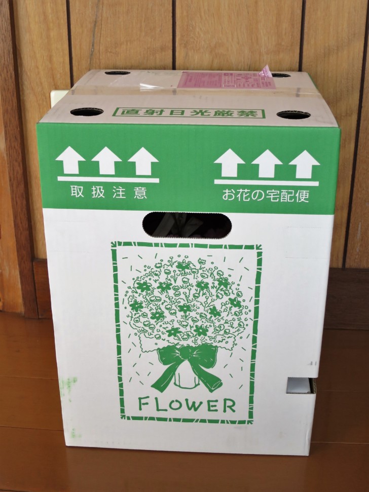 母の日